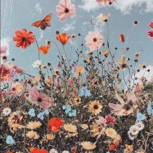 Meet your Posher, Juli